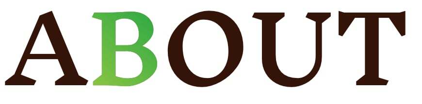 バリア=ブンタウ省のカカオ農園