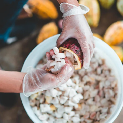 OCAの製品づくり
