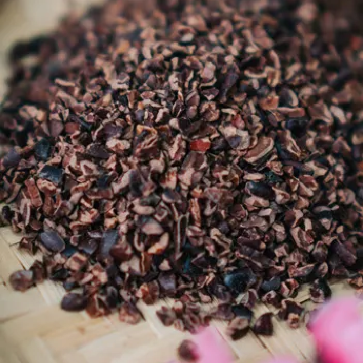 カカオ農園での丁寧な収穫作業