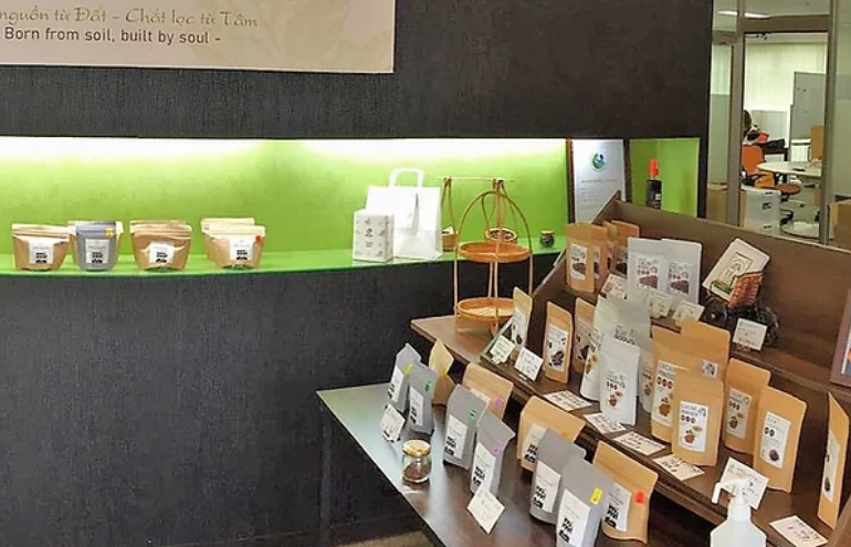 OCAカカオ農園の自然風景