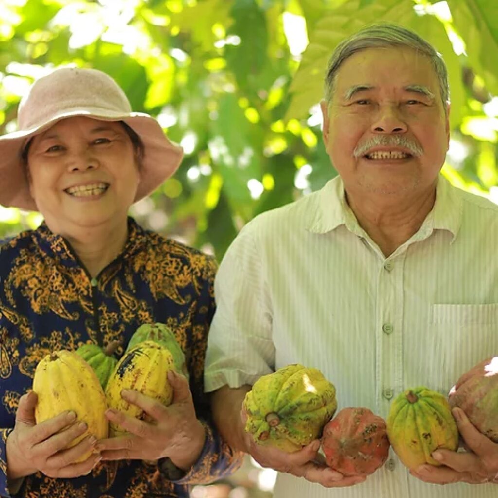 オーガニックチョコレート